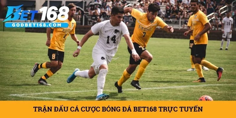 tran-dau-ca-cuoc-bong-da-bet168-truc-tuyen